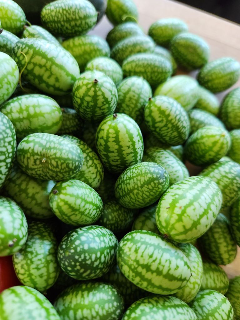 20230815_144347_exported_17132197158476667964682713463836