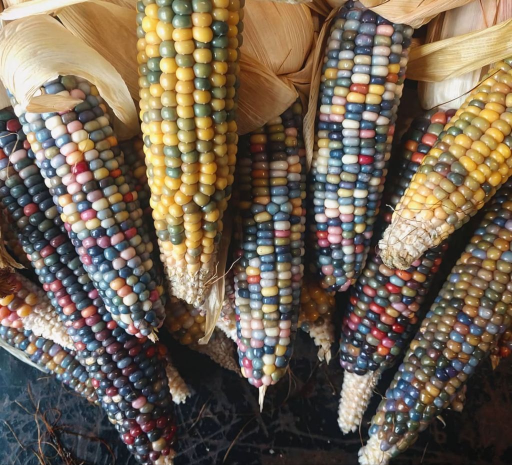 screenshot_20240415_075157_instagram1395306012397468615