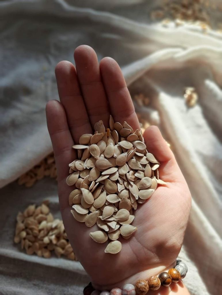 screenshot_20240415_160753_facebook836884169551457840